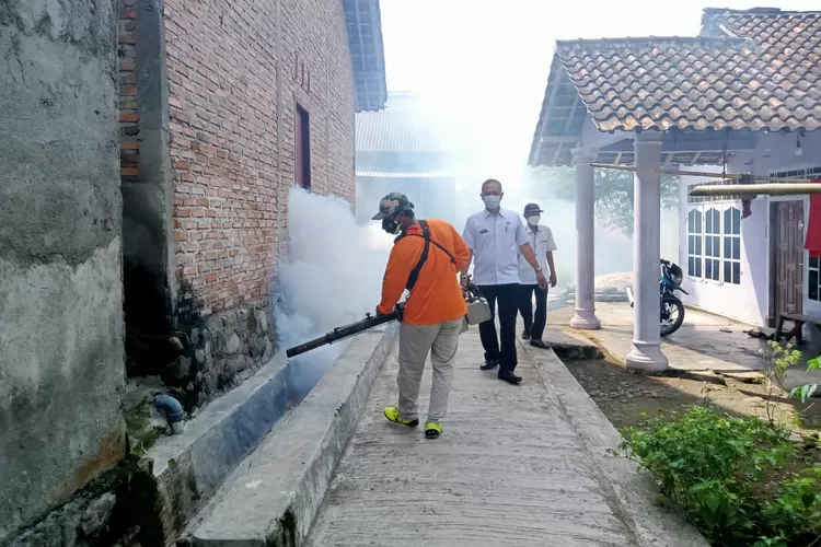 Kasus Demam Berdarah Melonjak di Kota Batu