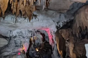 Goa Lawa di Trenggalek Ternyata Terpanjang di Asia Tenggara, Anda Penasaran ?