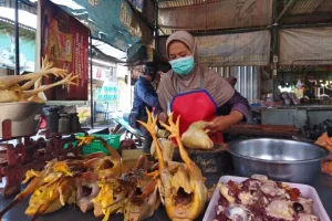 Harga Ayam Potong di Pasar Setono Betek Kota Kediri Turun