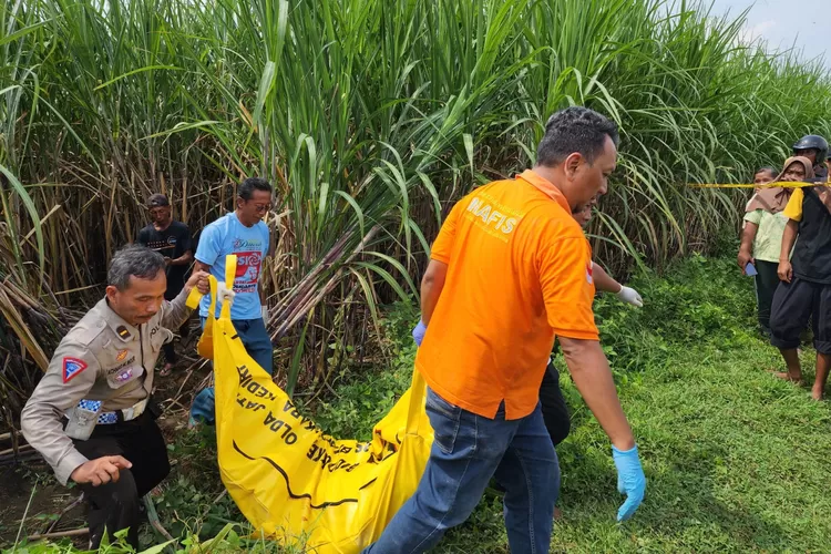 Warga Kediri Ditemukan Tewas dalam Kondisi Setengah Bugil di Lahan Tebu di Ngoro Jombang