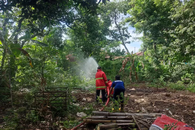 Belasan warga di Lingkungan Mayak, Kelurahan Ronowijayan, Kecamatan Siman, Ponorogo resah dengan munculnya ribuan ulat bulu selama dua minggu terakhir