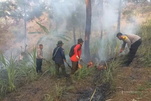 BMKG Imbau Warga Trenggalek Waspada Musim Kemarau, Terutama Bahaya Karhutla