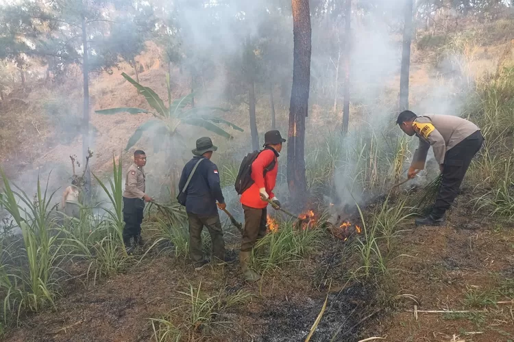 BMKG Imbau warga trenggalek waspad amusim kemarau