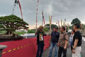 Ratusan Peserta Semarakkan Pameran Bonsai Nasional di SLG, Ini Infonya