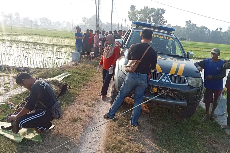 Warga Ponorogo Nekat Minum Pestisida Karena Gagal Menikah, Ini Identitasnya