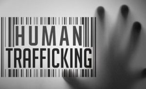 Kantor Imigrasi Surabaya Tangkap Pria Warga Bangladesh, Buronan Kasus TPPO