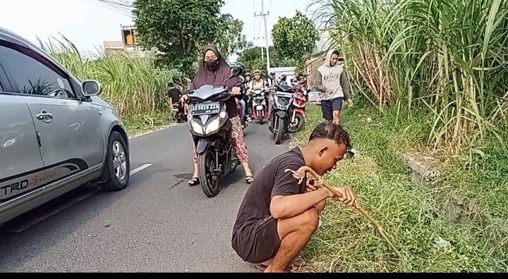 Sensasi Baru, Video Sebar Uang di Pinggir Jalan di Kediri, Viral di Instagram, Pemburunya Sebabkan Kemacetan