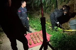 Polisi dari Gegana Polda Jatim Evakuasi 9 Mortir Aktif di Pujon Malang, Ini Infonya