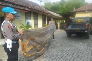 Satreskrim Polres Ponorogo Periksa 7 Orang dalam Kasus Ledakan Petasan