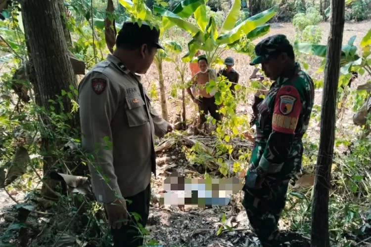 Cari Kayu Bakar, Kakek Asal Blitar Tewas, Ini Yang Terjadi