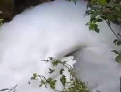 Geger! Sungai Yungyang di Lamongan Dipenuhi Buih Putih yang Berbau Amis