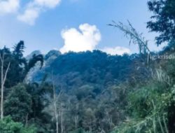 Jombang Mulai Tingkatkan Wisata Lewat Media Sosial, DPRD Komisi D Katakan Hal Ini!