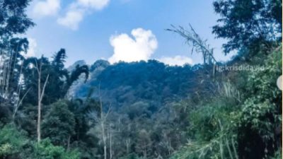 Jombang Mulai Tingkatkan Wisata Lewat Media Sosial, DPRD Komisi D Katakan Hal Ini!