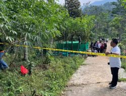 Heboh! Penemuan Makam Bayi Tanpa Nama di Malang, Polisi Menduga Kasus Aborsi