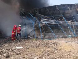 Kronologi Kebakaran Kandang Ayam Broiler di Tulungagung, 63 Ribu Ayam Potong Terpanggang