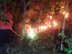 0,3 Hektare Hutan Gunung Orak Arik Trenggalek Terbakar! 