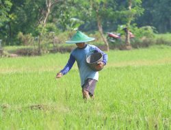 Pemkab Ponorogo Bangun Ratusan IATD Sebagai Solusi Pertanian di Musim Kemarau