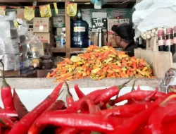 Harga Cabe di Blitar Semakin “Pedas”