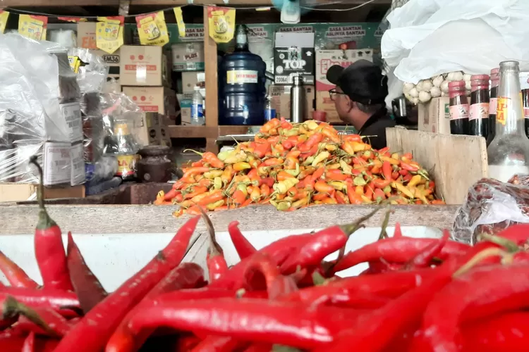 Harga Cabai di Blitar Semakin "Pedas*