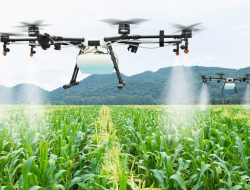 Smart Farming di Kabupaten Kediri, Pelatihan Penggunaan Drone bagi Petani Milenial