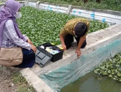 Dinas Perikanan Kabupaten Kediri Ingatkan Pembudidaya Ikan Terkait Kerawanan Puncak Musim Kemarau