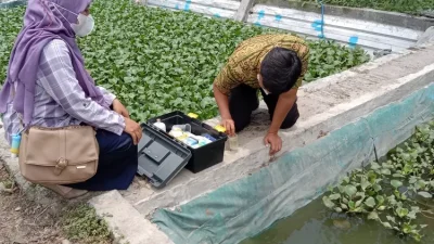 Dinas Perikanan Kabupaten Kediri Ingatkan Pembudidaya Ikan Terkait Kerawanan Puncak Musim Kemarau