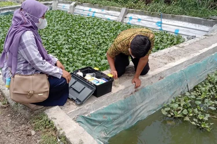 Dinas Perikanan Kabupaten Kediri Ingatkan Pembudidaya Ikan Terkait Kerawanan Puncak Musim Kemarau
