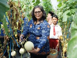 Peringati Hari Anak Nasional, Pj Wali Kota Kediri Zanariah Petik Melon Bersama Anak-anak di Kampung Tani Taman Kleco