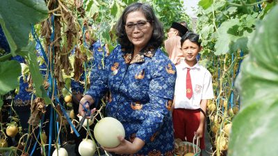 Peringati Hari Anak Nasional, Pj Wali Kota Kediri Zanariah Petik Melon Bersama Anak-anak di Kampung Tani Taman Kleco