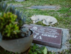 Penemuan Wanita Tewas di Malang Bikin Heboh Warga Pakis, Diduga Korban Pembunuhan!