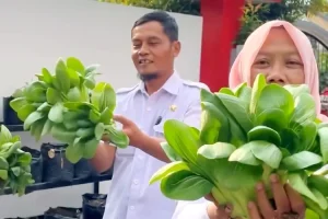 DKPP Kota Blitar Dorong Warga Pakai Polybag untuk Memanfaatkan Lahan Kosong