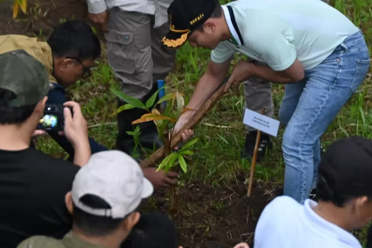 Pemkab Trenggalek Bangun Kebun Raya Bambu di Dilem Wilis