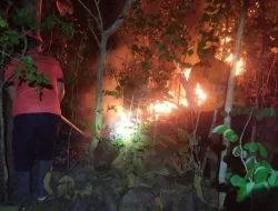 Hutan di Gunung Jaas Trenggalek Terbakar, Luasnya Dua Hektare, Ini Infonya