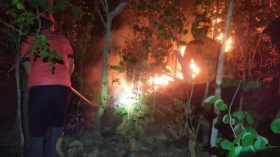 Dua Hektare Hutan di Gunung Jaas Trenggalek Terbakar