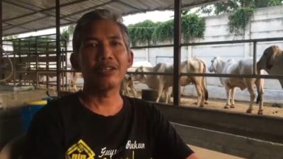 Kasus Program Korporasi Sapi di Kabupaten Kediri Naik ke Penyidikan, Ini Tanggapan Salah Satu Ketua Kelompok Tani