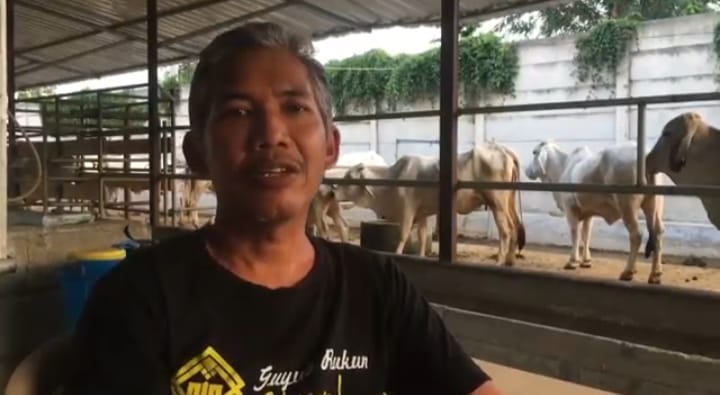 kelompok tani pelaksana programkorporasi sapi tidak risau dnegan status naik ke penyidikan