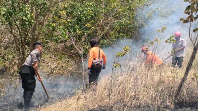 3 Hektar Lahan Hutan di Gunung Orak-arik Trenggalek Terbakar, Hati-hati Lur !