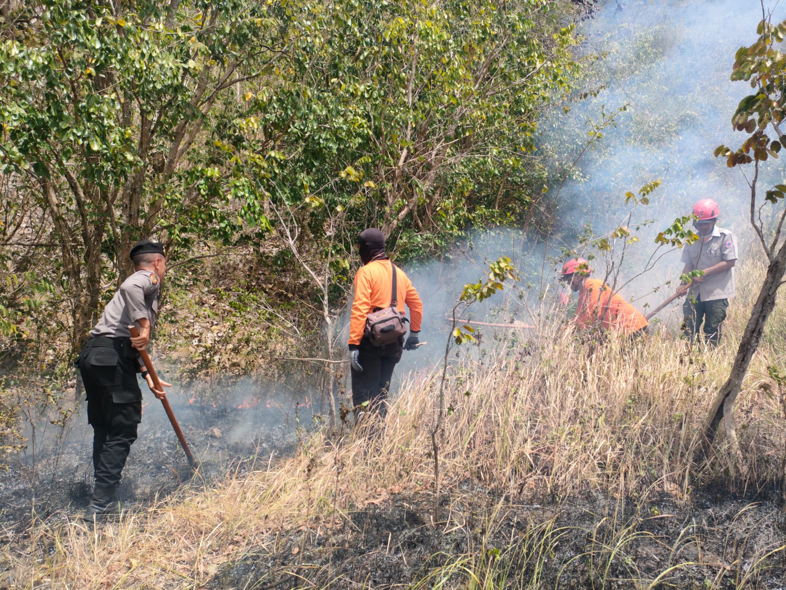 3 Hektar Lahan Hutan di Gunung Orak-arik Trenggalek Terbakar, Hati-hati Lur !