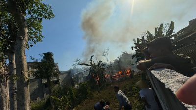 Usir Nyamuk Pakai “diangan” Kandang Ternak Warga Tugu, Trenggalek, Terbakar, 5 Kambing Mati Terpanggang