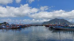 Tangkapan Ikan Laut di Trenggalek Capai Ribuan Ton, Sayangnya Harga Jual Rendah