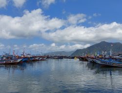 Tangkapan Ikan Laut di Trenggalek Capai Ribuan Ton, Sayangnya Harga Jual Rendah