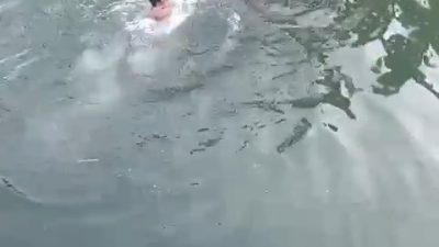 Pelajar Trenggalek Tewas di Sungai Tawing, Sempat Kram Kaki Namun Nekat Berenang Lagi