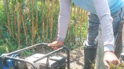 Rutinitas di Musim Kemarau, Petani di Ringinrejo Gunakan Diesel Air untuk Pengairan Sawah, Bahan Bakarnya Pakai LPG 3 kg