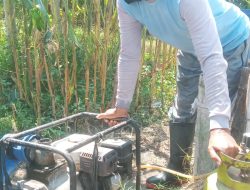 Rutinitas di Musim Kemarau, Petani di Ringinrejo Gunakan Diesel Air untuk Pengairan Sawah, Bahan Bakarnya Pakai LPG 3 kg