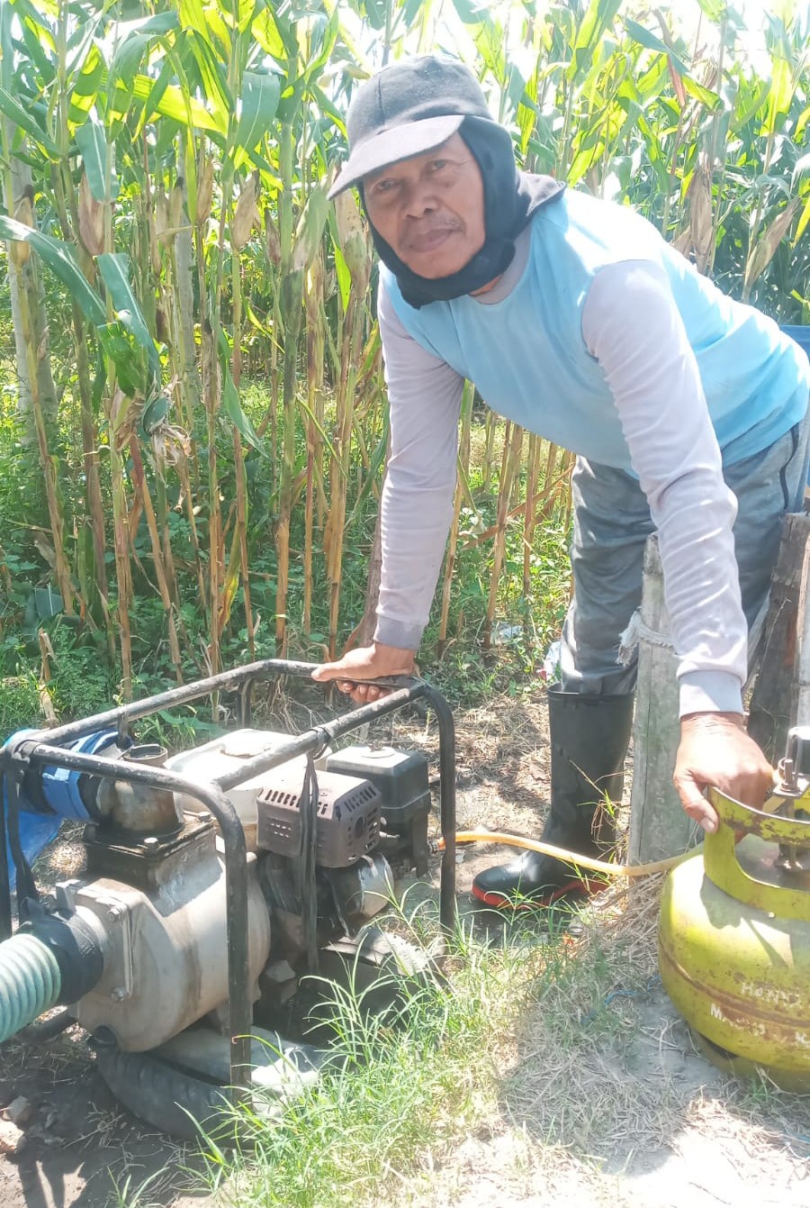 Rutinitas di Musim Kemarau, Petani di Ringinrejo Gunakan Diesel Air untuk Pengairan Sawah, Bahan Bakarnya Pakai LPG 3 kg