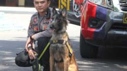 Ini cara Unit K9 Sat Samapta Polres Kediri Rawat Anjing Pelacak