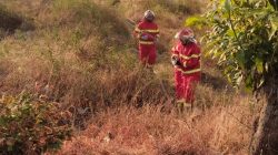 Selama Musim Kemarau Damkar Kabupaten Kediri tangani 84 Kebakaran