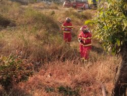 Selama Musim Kemarau, Damkar Kabupaten Kediri Tangani 84 Peristiwa Kebakaran