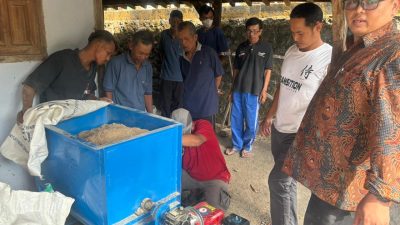 Dosen AKN Putra Sang Fajar Blitar Ciptakan Pakan Alternatif Berbahan Onggok di Tengah Tingginya Harga Pakan