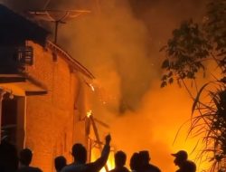 Seorang Kakek di Ponorogo Usir Nyamuk Pakai Api, Kandang dan Rumah Malah Terbakar